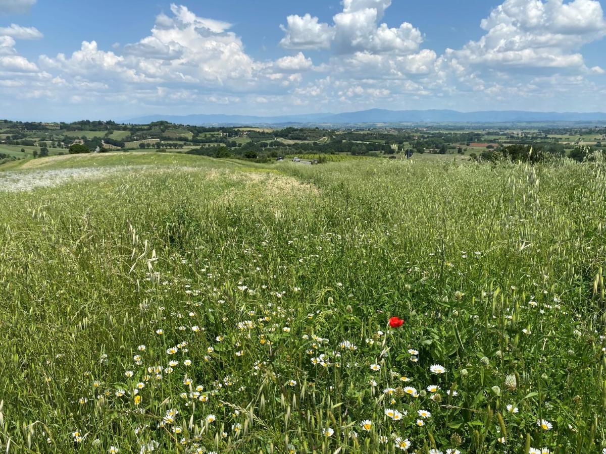 Willa Agriturismo La Collina Siena Zewnętrze zdjęcie