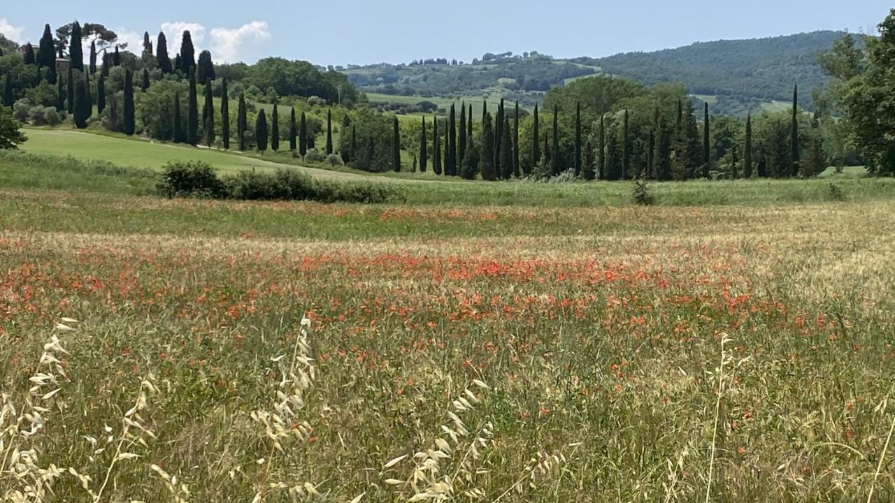 Willa Agriturismo La Collina Siena Zewnętrze zdjęcie