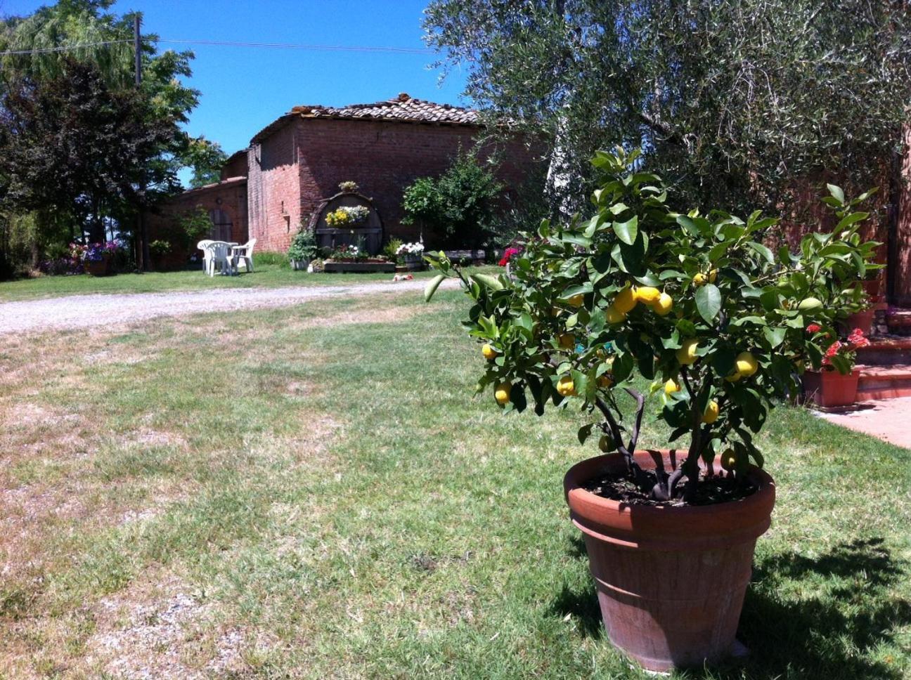 Willa Agriturismo La Collina Siena Zewnętrze zdjęcie